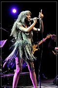 71530 The Excitements 2014-12-19 (Zz) (p)
